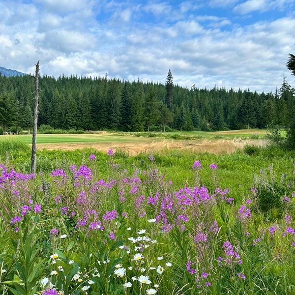 Meet your Posher, Rylee - Picture 1 of 1